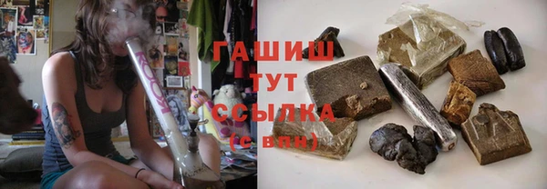 дживик Инта