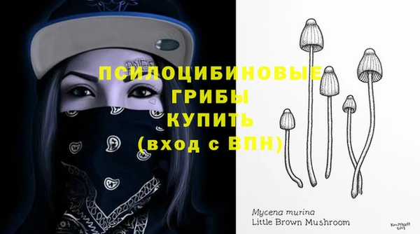 марки nbome Инсар