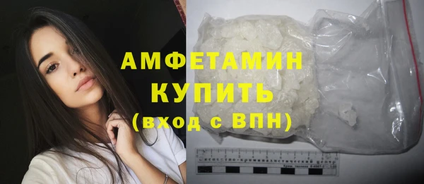 дживик Инта