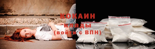 дживик Инта