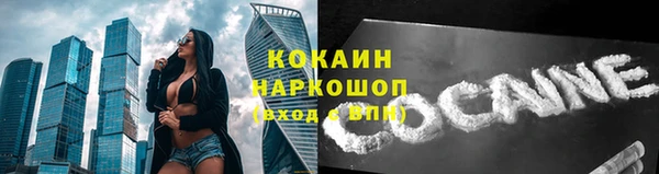 дживик Инта