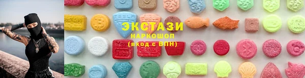 дживик Инта