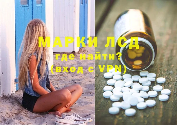 дживик Инта