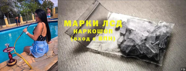 дживик Инта