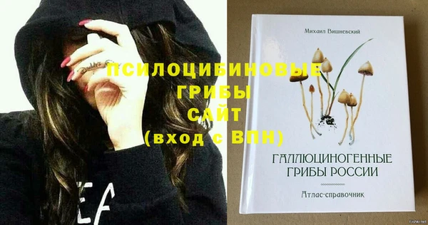 дживик Инта