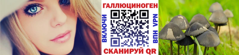 Псилоцибиновые грибы мицелий  Купить где  Добрянка 